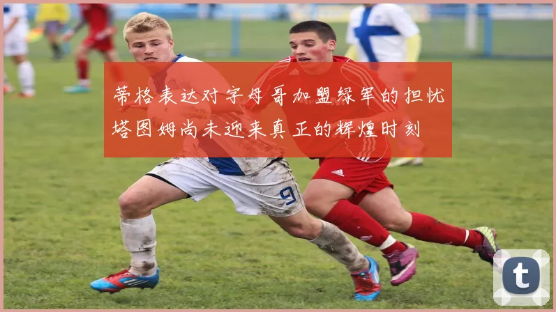 蒂格表达对字母哥加盟绿军的担忧塔图姆尚未迎来真正的辉煌时刻