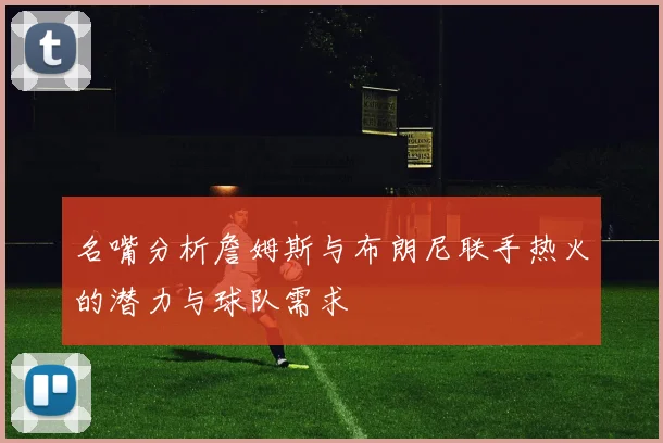 名嘴分析詹姆斯与布朗尼联手热火的潜力与球队需求